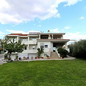 Mičić Zara